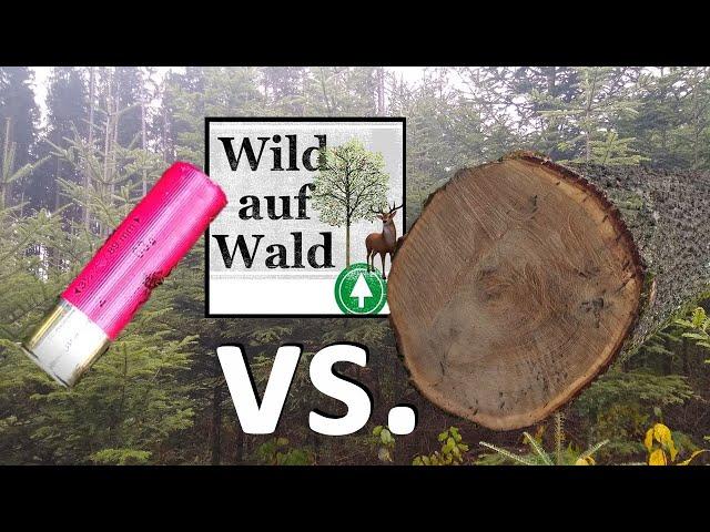 So geht es weiter mit Wild auf Wald!