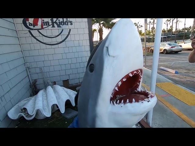 Beach Metal Detecting California Beach