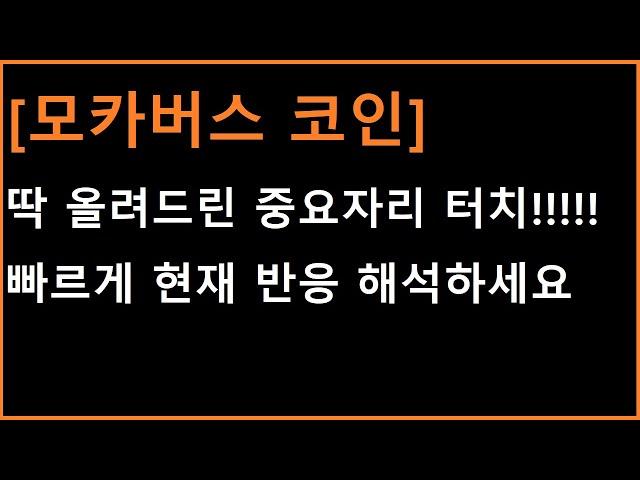 [모카버스 코인] 딱 중요자리 터치한 시점;;;;; 반응을 해석해야 다음 시나리오를 그리겠죠?