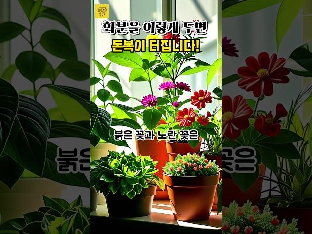 화분을 이렇게! 두면 '돈복'이 터집니다!!   바로 해보세요~ #운세 #풍수인테리어 #사주