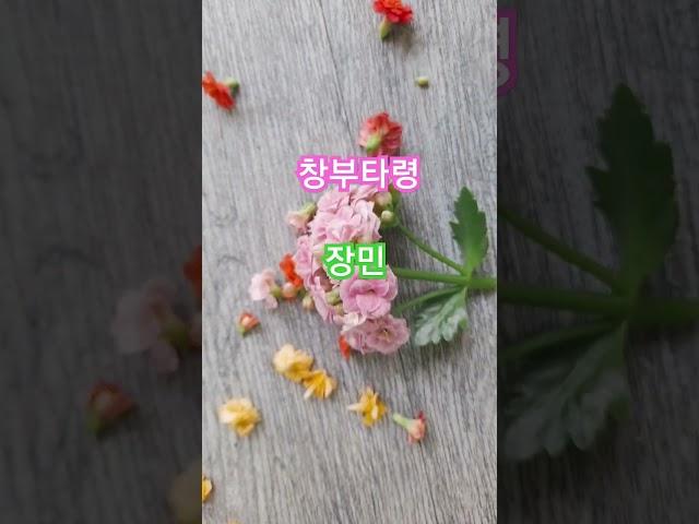 #장민 #창부타령