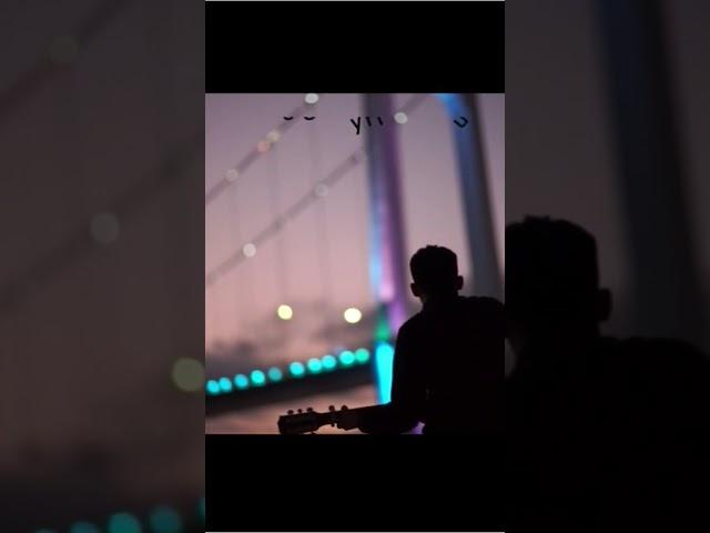 인테리올