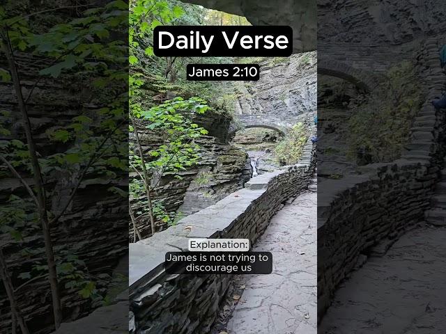 1 Verse, 1 Minute: James 2:10 #daily #bible #verseoftheday #spiritualgrowth #james #shorts #faith