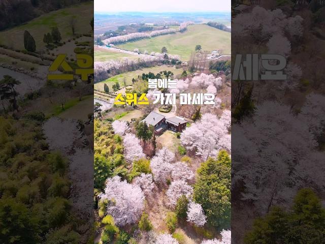 실시간 금지됐던 길 같이 걸을 친구 태그 #서산한우목장 #서산여행 #서산가볼만한곳 #서산목장 #충남여행