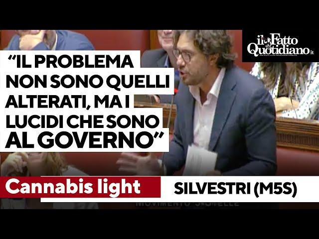 Cannabis, l'amara ironia di Silvestri: "Il problema non sono gli alterati, ma i lucidi al governo"