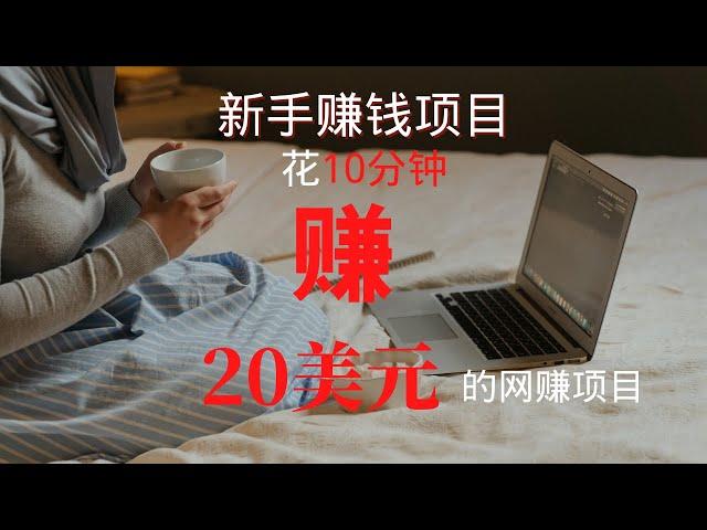 2021网赚，分享网上赚钱项目，给大家分享一个10分钟赚20美金的新手赚钱项目，想赚钱的就来看看