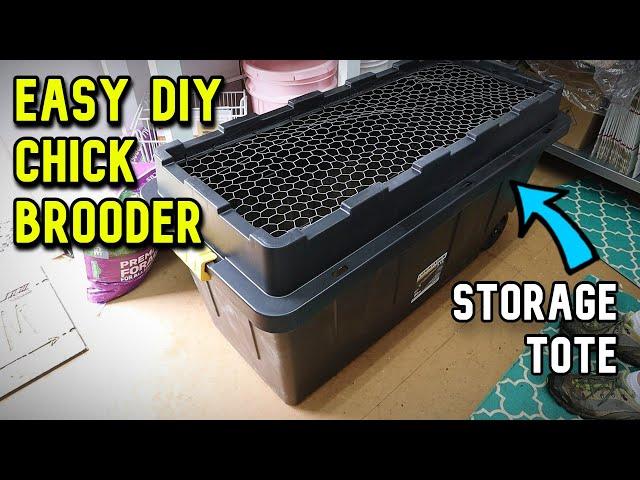 Easy DIY Chick Brooder YOU CAN BUILD!