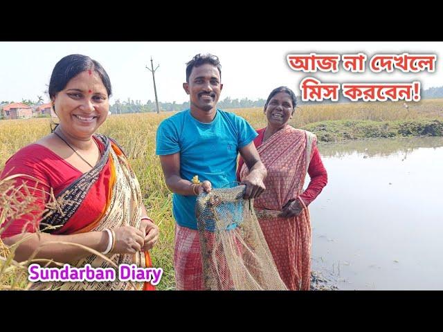 আজ প্রথম মাঠ পুকুর ভেঙে কত মাছ ধরা হলো দেখুন! Sundarban Diary