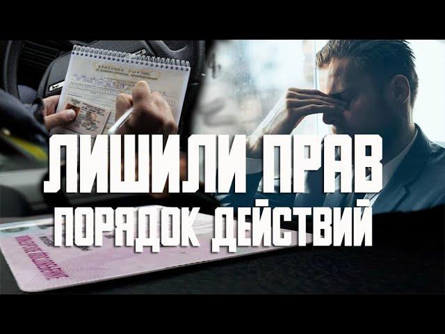 Лишили прав, что делать дальше? Каков порядок действий? Сдавать ли права?