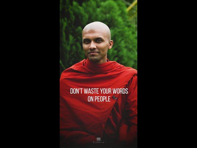 Be silent, Dont waste your words   | Buddhism In English #shorts