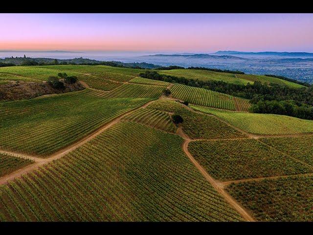 Sonoma County Wine Overview