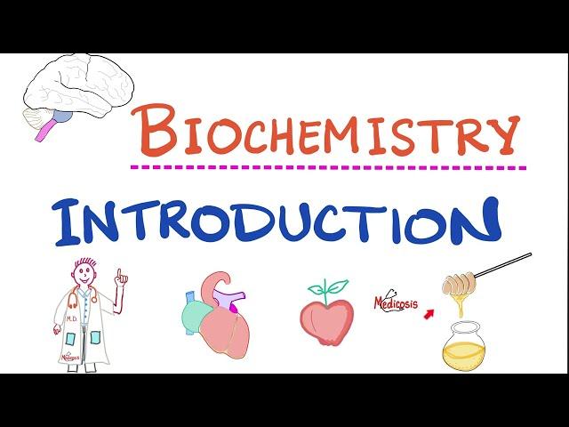 Introduction to Biochemistry - Metabolism - Anabolic, Catabolic - Insulin, Glucagon - Amino Acids