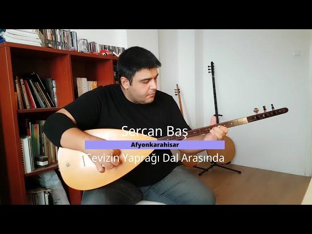 Cevizin Yaprağı Dal Arasında - Sercan Baş (Canlı Performans)