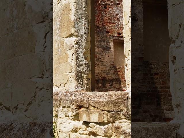  Wimpole Castle 