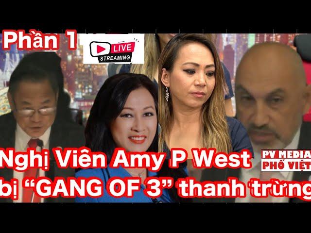 PV Media live! Nạn nhân Amy Phan West Phiên Đấu Tố tệ hại nhất lịch sử TP Westminster (1of2)