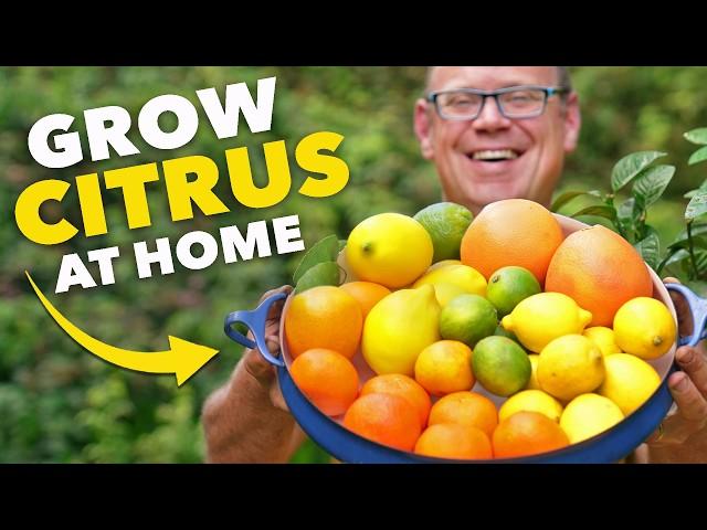 Citrus Masterclass: Grow in ANY Climate!