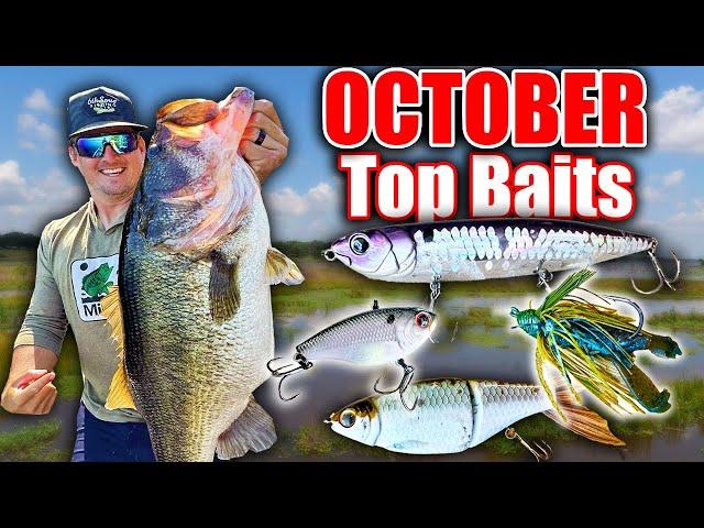 Top 5 Bass Fishing Baits for October!!