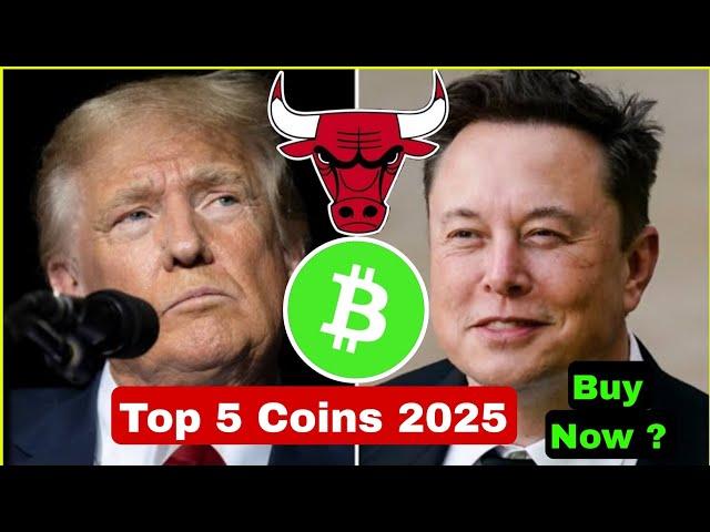 Top 5 Alt Coins Buy Now? Top Crypto Coins 2025 | Cryptocurrency | Bitcoin | Sagar Ocs ||