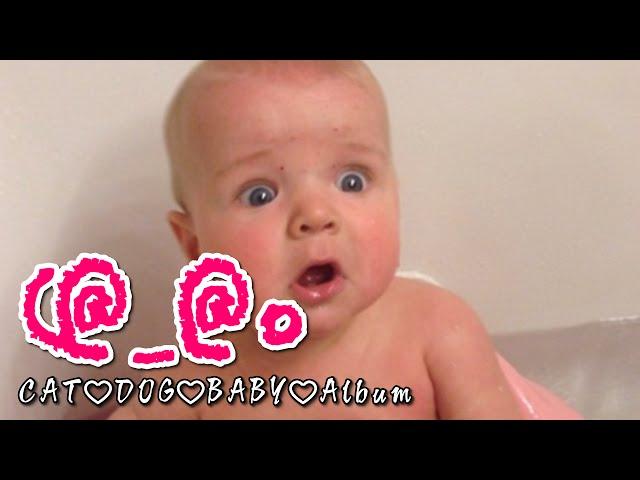 【赤ちゃんおもしろハプニング】可愛い赤ちゃんびっくり動画集③/【Baby Fun Happening】 Cute Baby Video Collection ③