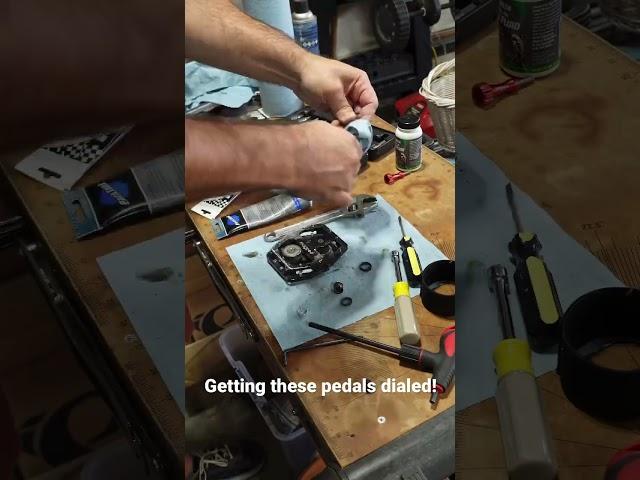 My first time doing pedal maintenance!