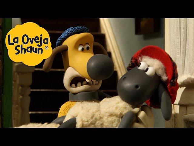La Oveja Shaun  ¡Atrapa las ovejas!  Dibujos animados para niños
