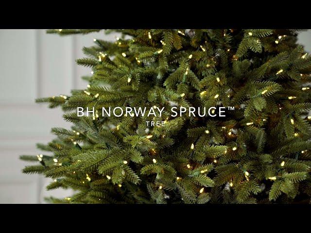 Balsam Hill® | BH Norway Spruce™