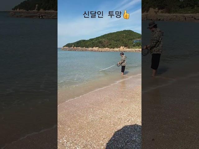 마약같은투망 #cast #fishing #낚시 #해루질 #바다 #서해 #동해