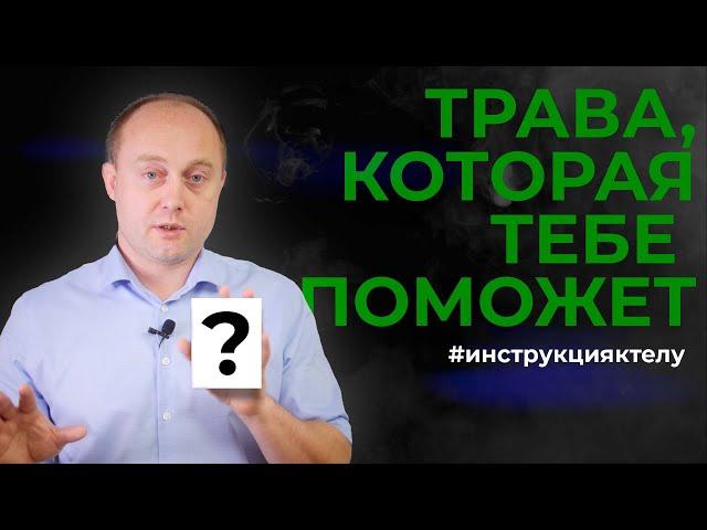 Как лечиться ТРАВАМИ. ФИТОТЕРАПИЯ. #инструкцияктелу