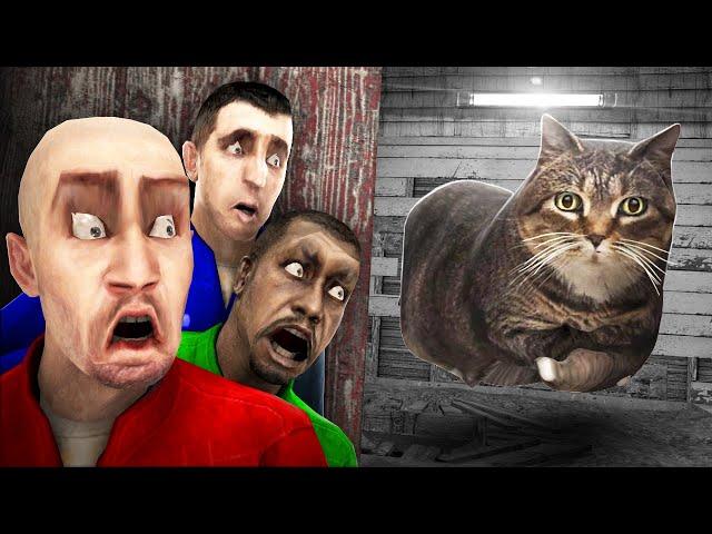 OIIA OIIA! ОИИАИОИИАИ КРУТЯЩИЙСЯ КОТ ОХОТИТСЯ НА НАС! УГАР И БЕЗУМИЕ В Garry`s Mod
