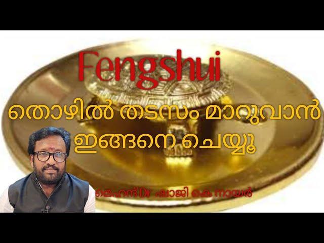 തൊഴിൽ തടസം മാറുവാൻ ഇങ്ങനെ ചെയ്യൂ Fengshui tips in Malayalam