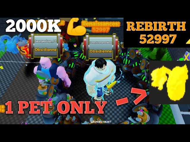 52997TH REBIRTH 2000K STRENGHT CASTLE ONLY FOR 2000 SUB STRONGMAN SIMULATOR ROBLOX