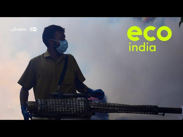 Eco India: How is Mumbai's dengue surge linked to climate change?