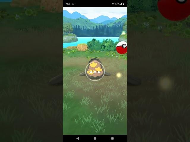 Shiny Fisk 🪤 #pokemongo #shinypokemon #pokemonchannel #galar