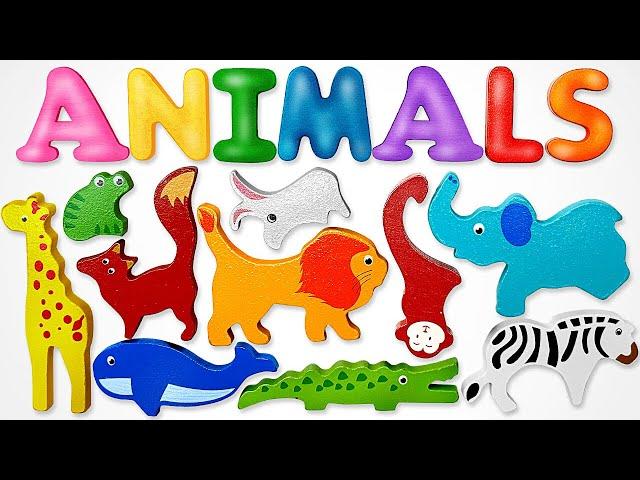 LIVE: Explore Animals with Fun Toys  | BEST Learning Video for Kids