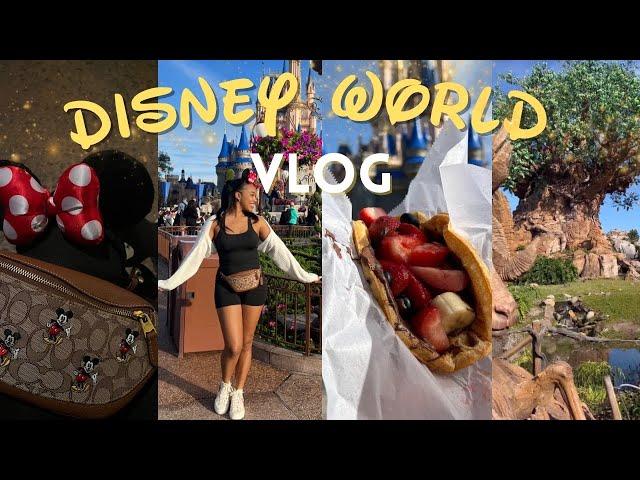 DISNEY WORLD VLOG | An adult trip to EVERY Disney park, BEST eats, drinking in Epcot, & travel tips!