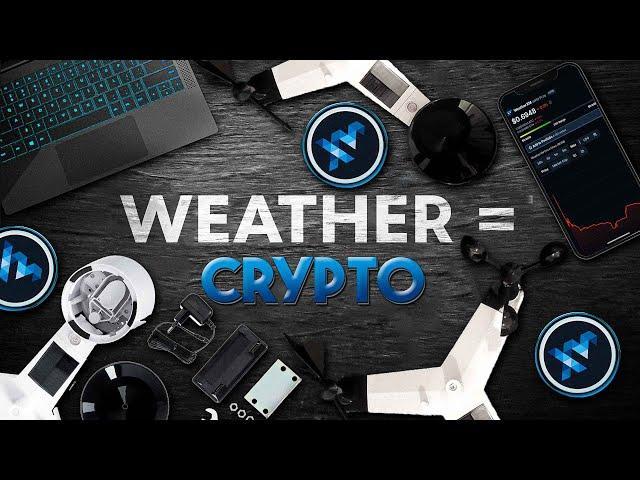 WTF is a "WEATHER MINER" and why is it so PROFITABLE? WeatherXM