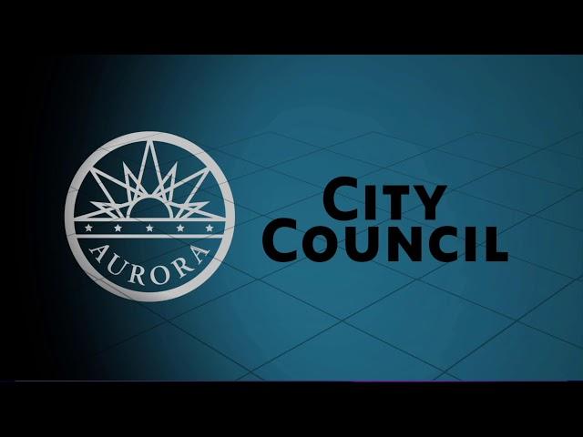 City Council 11 4 24