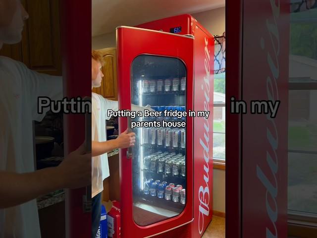 Putting A Beer Fridge In My Parents House