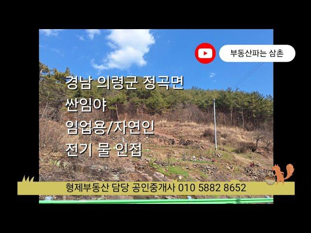 (24005) 경남 의령군 정곡면 임야 산 매매 전기 물 인접 자연인 남향 의령부동산 의령산