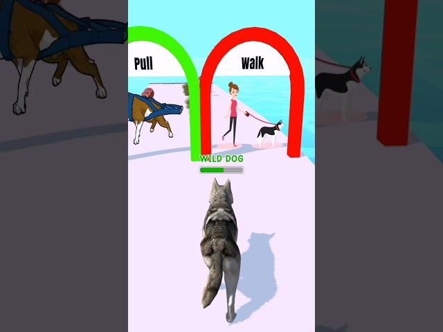 DOGGY RUN GAMEPLAY WALKTHROUGH  | DOG SWEET  | ANDROID, iOS MOBILE | NEW UPDATE #SHORTS GAMES #0