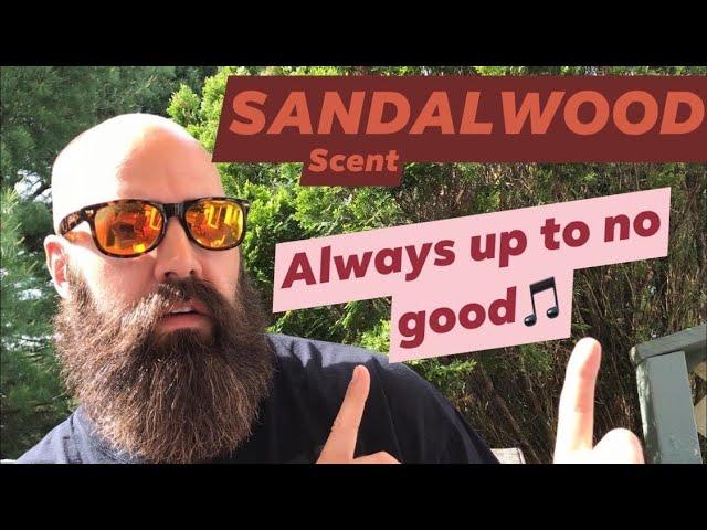 What is Sandalwood Scent ️