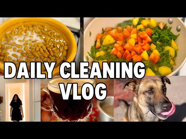 Vlog 04 look what i did   | Sparkling Spaces & Fresh Vibes!  #CleanWithMe #shortsviral