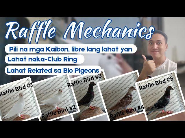 1st Raffle Mechanics | Nov. 20 - Dec. 10, 2022 accepting entries | 5 birds related to Bio Pigeons