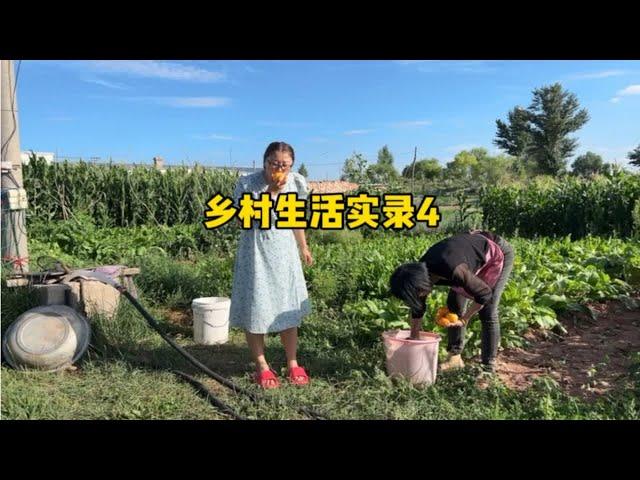 乡村生活实录