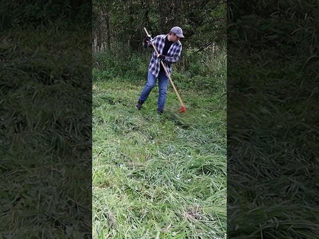 Old Norwegian method for drying hay