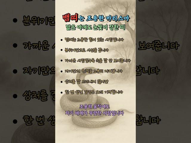 뱀띠 성격｜겉은 차가워 보여도, 속은 누구보다 깊은 사람입니다