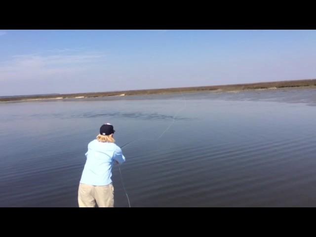 Huge school of redfish cruising the flat.