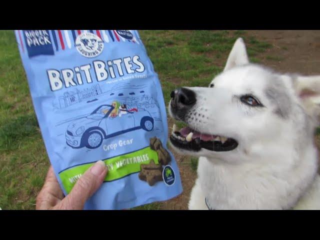 Grateful Husky ~ LONG OVERDUE UNBOXING ~ Happy Nook having fun ..