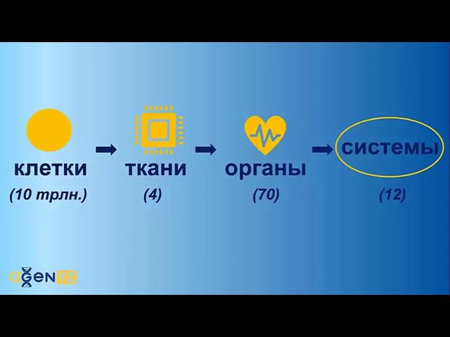 Ппросто и понятно о главном