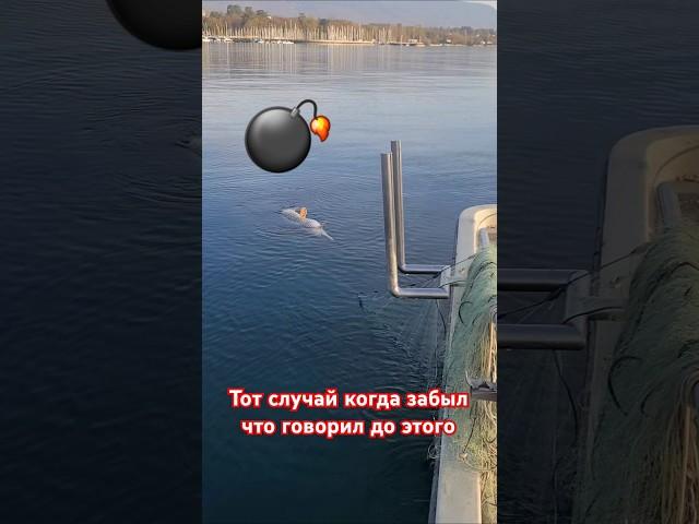 Сон как рукой сняло.#рыбалканаозере #рыбалка